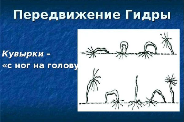 Как зарегаться на кракене