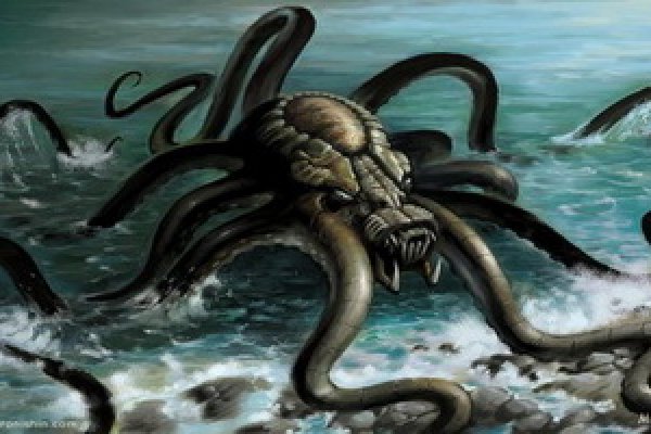 Kraken biz