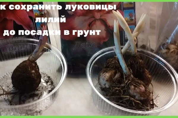 Ссылки кракен 2024